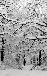 Similar image 17247839