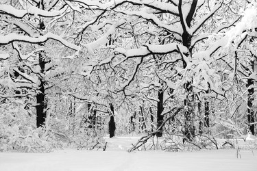 Similar image 17247841