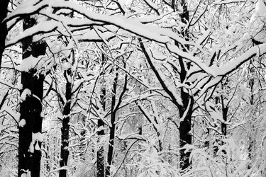 Similar image 17247845