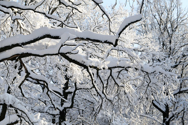 Similar image 17247848