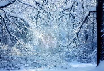 Similar image 17247858