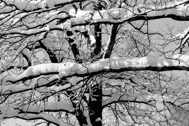 Similar image 17247872