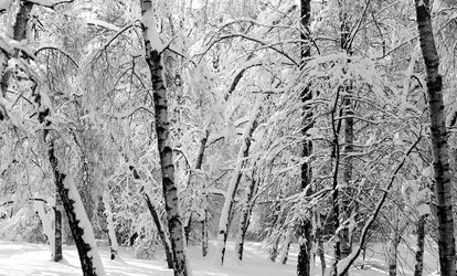 Similar image 17247876