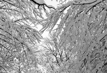 Similar image 17247889