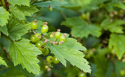 Similar image 16933162