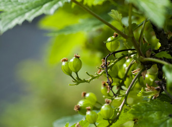 Similar image 16933187