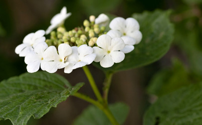 Similar image 16933105