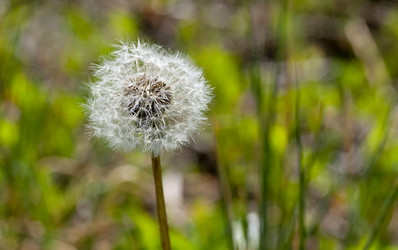 Similar image 16933122