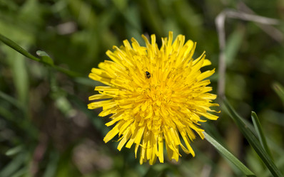 Similar image 16933145