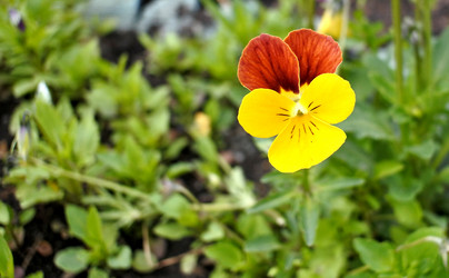 Similar image 16933178