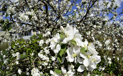 Similar image 16933192