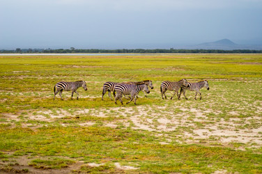 Similar image 17544096