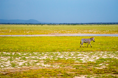 Similar image 17544098