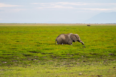 Similar image 17544115