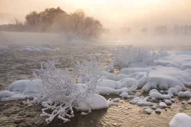 Similar image 17239006