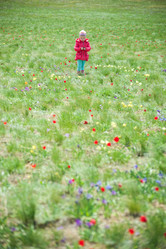 Similar image 16994695