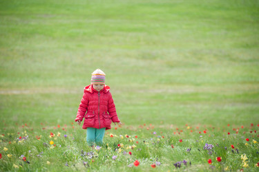 Similar image 16994958