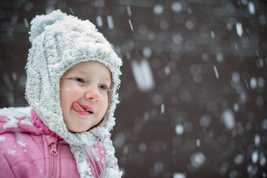 Similar image 16995009