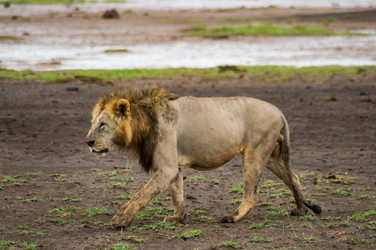 Similar image 17544147