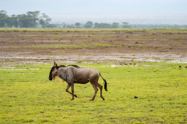 Similar image 17544148