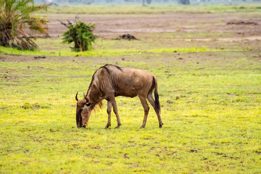 Similar image 17544162