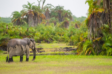 Similar image 17544163