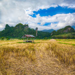 Similar image 17543382