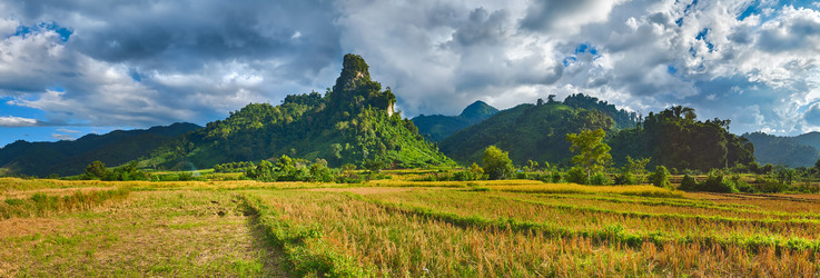 Similar image 17543383