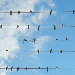 Similar image 17237869