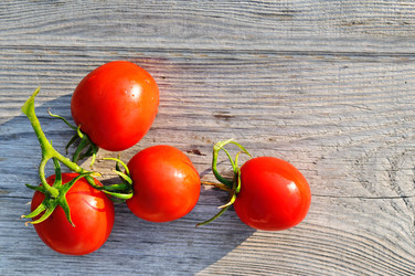 Similar image 17237873