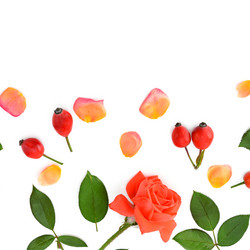 Similar image 17237874