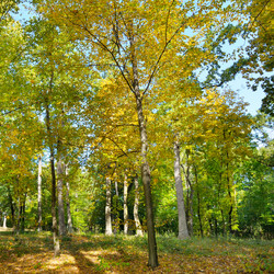 Similar image 17237879