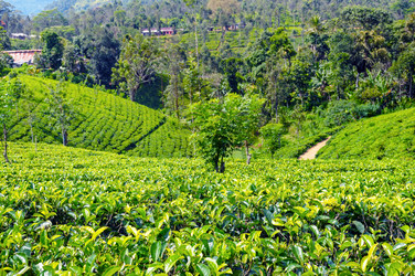 Similar image 17237893