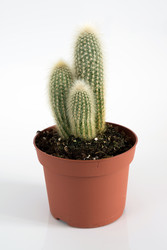 Similar image 16978192