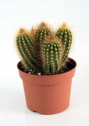 Similar image 16978207