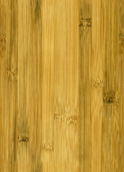 Similar image 16978043