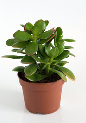 Similar image 16975340