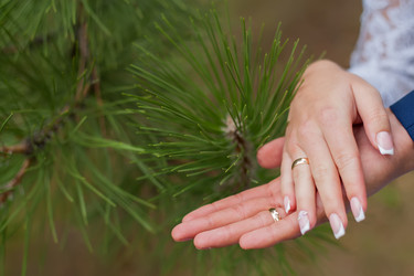 Similar image 17241721