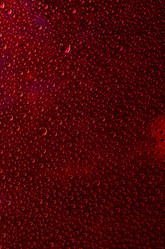 Similar image 17240779