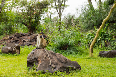 Similar image 17544190