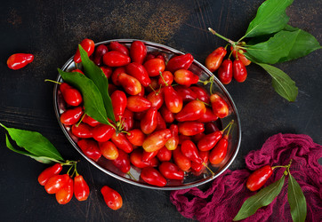 Similar image 17249679