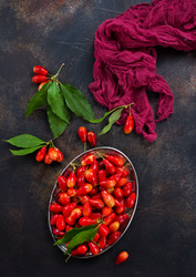 Similar image 17249683