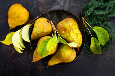 Similar image 17249685