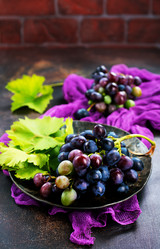 Similar image 17249473