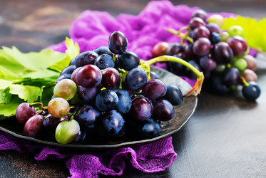 Similar image 17249705