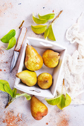 Similar image 17249514