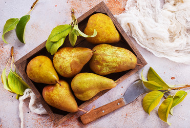 Similar image 17249518