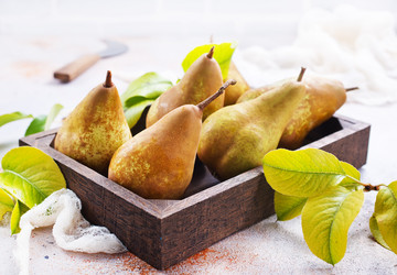 Similar image 17249544