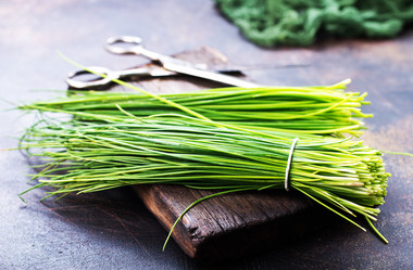 Similar image 17249675