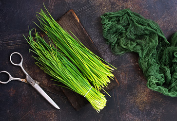 Similar image 17249893